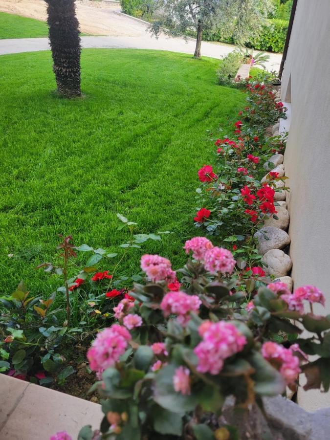 Casale Angela Apartamento Torrevecchia Teatina Exterior foto
